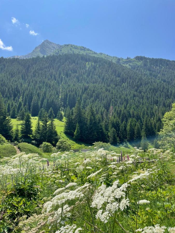 T2 Vue Sur Le Parc De La Vanoise Ла План Екстериор снимка