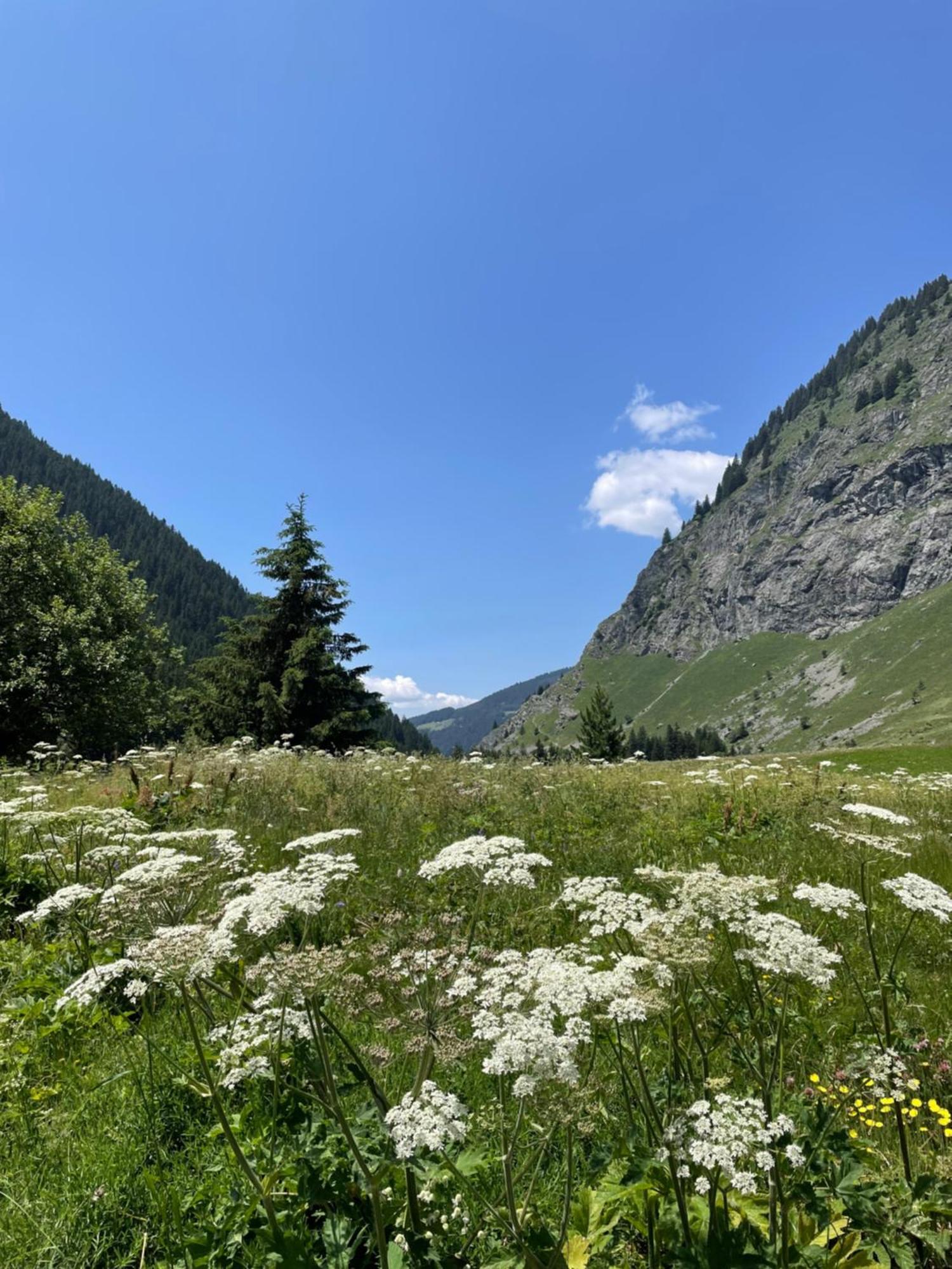 T2 Vue Sur Le Parc De La Vanoise Ла План Екстериор снимка
